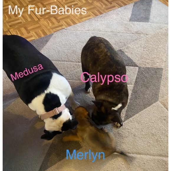 My amazing family 💖 - Picture 7 of 7